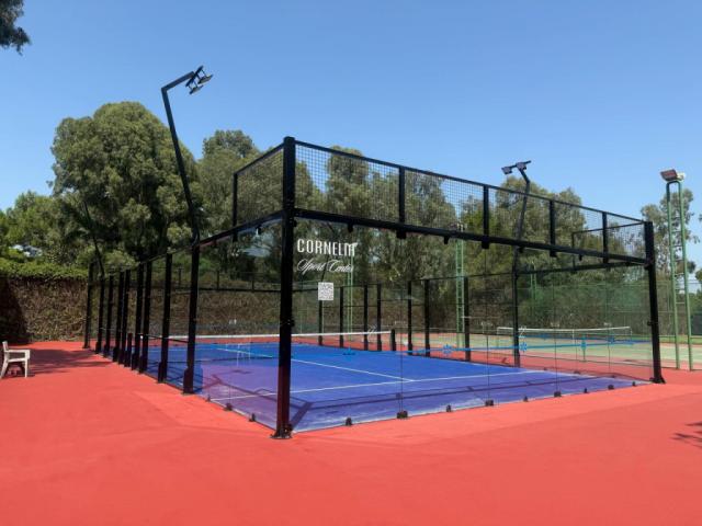 Sport